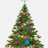 Slavnostní rozsvícení vánočního stromu 2